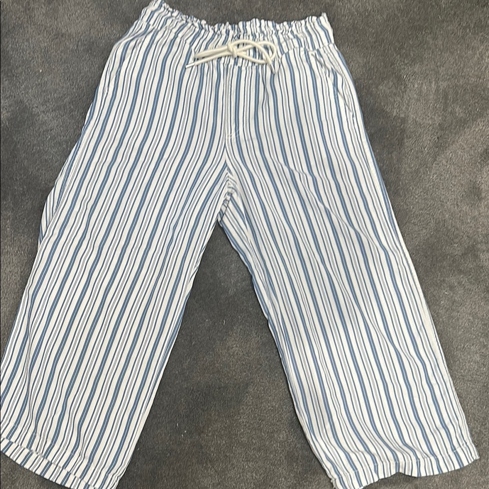 Blue and White Striped Cropped Wide Leg Pants